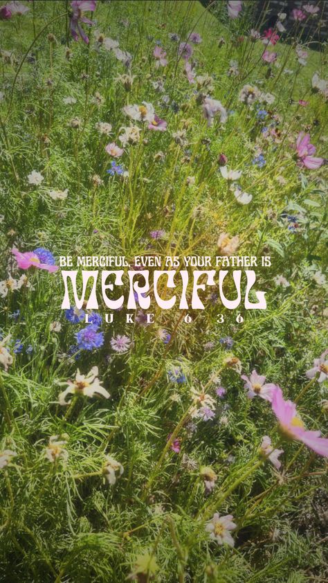 Luke 6:36 scripture iphone devise wallpaper wildflowers flowers verse graphic Consider The Wildflowers Wallpaper, Wallpaper Wildflowers, Luke 6 36, Comforting Bible Verses, Luke 6, Our Savior, Thankful And Blessed, Live Wallpapers, Wild Flowers