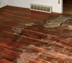 For flawless wood floors, avoid these installation and finishing mistakes Tearing Out Carpet, How To Sand And Stain Wood Floors, Floor Refinishing Hardwood, Old Wood Floors Restoring, Wood Floors Ideas, Sanding Wood Floors, Pallet Sheds, Wood Floor Restoration, Staining Wood Floors