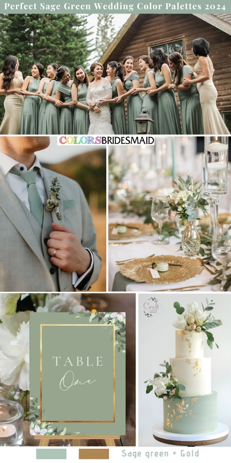 7 Perfect Sage Green Wedding Color Palettes for 2024 - ColorsBridesmaid Sage Green And Champagne Wedding Flowers, Green Cream Gold Wedding, Sage Green Cream And Gold Wedding, Wedding Green Color Palette, Pistachio Wedding Theme, Sage And Gray Wedding, Summer Wedding 2024, Sage Green White And Gold Wedding, Sage Green And Gray Wedding