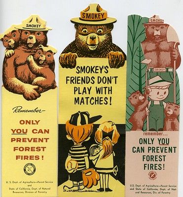 Smoky The Bear, 80 Cartoons, Smokey The Bear, Smokey Bear, Smokey The Bears, Retro Housewife, 90s Cartoons, Bear Party, Camping Decor