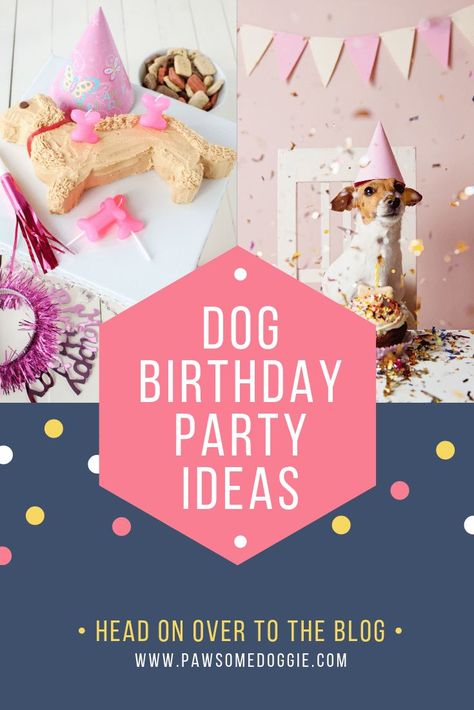 It’s no secret that millions of Americans celebrate their dog’s birthday and many are looking for dog birthday party ideas. Some might be planning a Bark Mitzvah for a dog or a cat quinceañera. #dogbirthday #pawty Dog Quinceanera Party, Bark Mitzvah, Dog Birthday Quotes, Dog Birthday Party Ideas, Doggie Quotes, Birthday Party Dog, Dog Themed Birthday, Dog Themed Birthday Party, Dogs Birthday