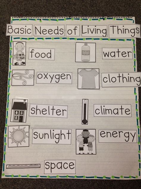 Basic Needs Basic Needs Of Living Things, Living And Nonliving, Science Anchor Charts, Kindergarten Social Studies, 1st Grade Science, First Grade Science, Chalk Talk, Primary Science, Science Ideas