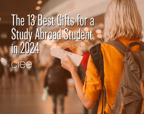 The 13 Best Gifts for a Study Abroad Student in 2024 Someone Studying, Study Abroad Gifts, Studying Abroad, Internship Program, Summer Program, College Study, Student Studying, Neck Pillow, Study Abroad