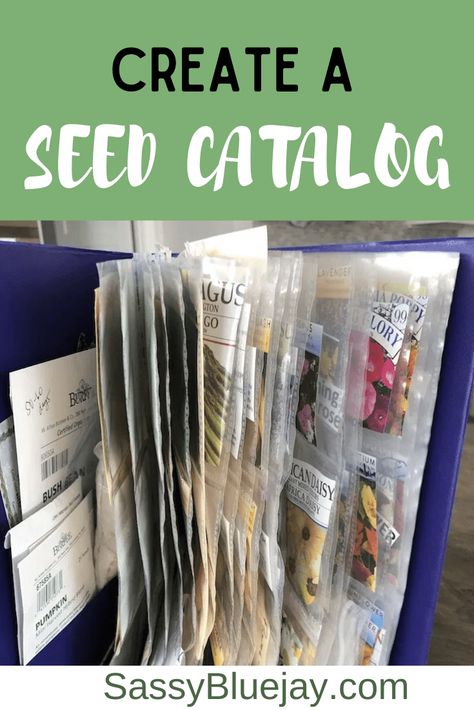 How To Store Seeds, Flower Tips, Seed Storage, Flower Fruit, Seed Bank, Seed Catalogs, Seed Saving, Garden Journal, Seed Packets