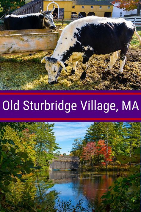 Old Sturbridge Village, MA is a FUN living history museum and 1800s New England working farm: Costumed interpreters, kids' activities, and antique buildings! Red leaves in autumn look beautiful. #NewEngland #massachusetts #familytravel #kidsactivities #museum #farm Sturbridge Village, Massachusetts Travel, Working Farm, New England Road Trip, Living History Museum, New England Travel, New England Fall, Family Trips, Travel Pins