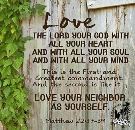 #HisPlan #KingdomFirst #TrustHim #PrayerHelps #LoveOthers #BeKind #SeeTheGood #SoulQuenching #FaithOverFear #StayGrateful #Life2TheFull #EnjoyTheJourney #JesusSurfedApparelCo Love Your Neighbor As Yourself, Matthew 22 37, Love Your Neighbor, Greatest Commandment, Belief In God, Love Your Neighbour, Walk On Water, Memory Verse, Faith Over Fear