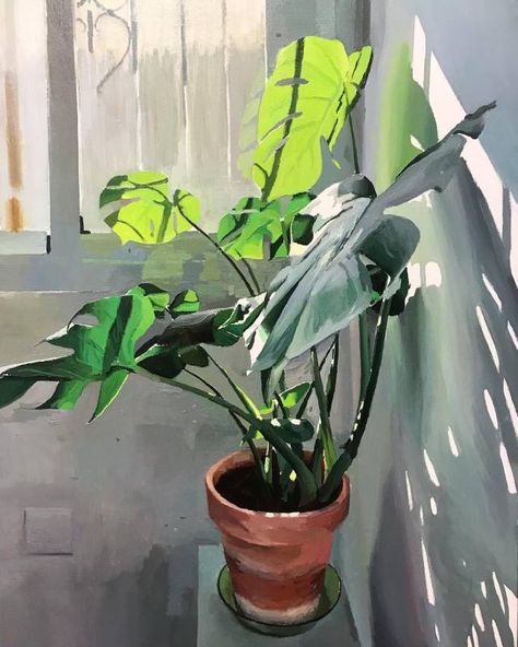 Light And Shadow Photography, Plant Painting, Colorful Artwork, Still Life Art, Ethereal Art, Global Art, Light Painting, Still Life Painting, Abstract Artists