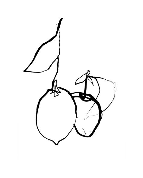 Using ink, this is a gestural study of lemons. Sketches Line Art, Lemon Drawing, Diy Poster, Fruit Tattoo, Artfully Walls, Artist Wall, 수채화 그림, Digital Painting Tutorials, Sumi E