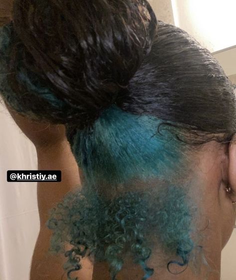 Skunk Strip, Teal Hair Dye, Blue Natural Hair, Dyed Hair Ideas, Peekaboo Hair Colors, Hair Stripes, Skunk Stripe, Color For Black Hair, Dyed Curly Hair