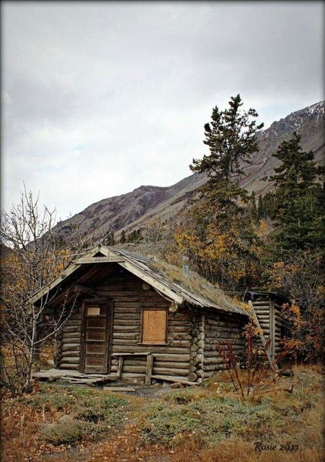 Cabin in the woods Storage Backyard, Old Log Cabin, Rustic Shed, Wood Cottage, Old Cabins, Old Cabin, Little Cabin In The Woods, Cabin In The Mountains, Wilde Westen