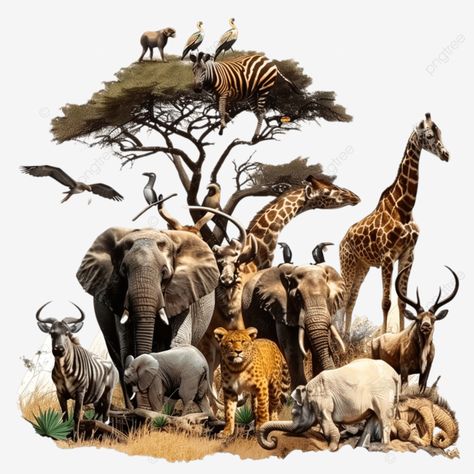 safari hunting in africa wild animals safari hunting africa png Africa Scrapbook, Hunting Africa, South Africa Animals, Jungle Images, Wild Animals Attack, Jungle Animal Art, God Pics, Animals Safari, Animal Attack