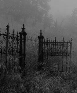 Iron gate of abandoned house #luxurydotcom Graveyard Shift Aesthetic, Graveyard Shift M L Rio, Graveyard Fence, Romantic Vampire, Widget Pictures, Picnic At Hanging Rock, Gacha Backgrounds, Paddy Kelly, Graveyard Shift