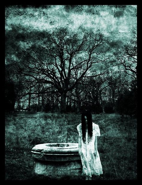 The Ring first time I saw this when it first cam out I was like scared for at least 2 weeks. now when I watch its ah well not as scary just a lil creepy. Samara Morgan, Ring Horror, Horror Tattoos, Abandoned Asylums, Creepy Stuff, Creepy Pictures, The Occult, Horror Posters, Horror Movie Art