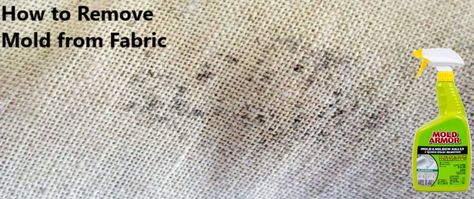 Get Mold Out Of Fabric, How To Remove Mould From Fabric, How To Get Mildew Stains Out Of Fabric, How To Get Mold Out Of Fabric, How To Remove Mold From Fabric, How To Remove Mildew From Fabric, Mold Out Of Clothes, Mildew Remover For Fabric, Mold On Clothes