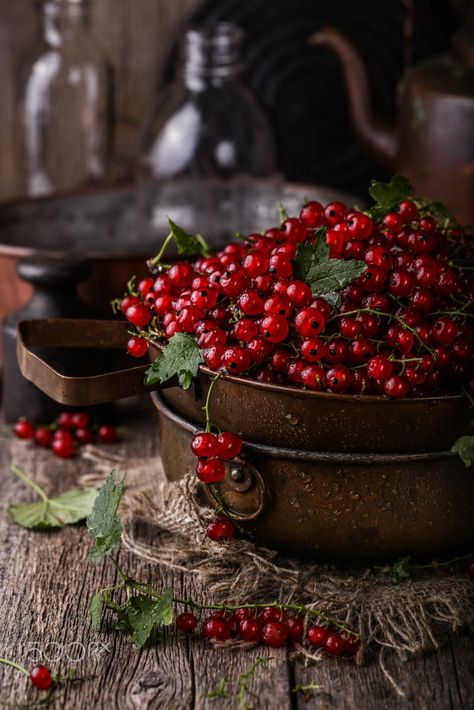 Raindrops And Roses, Dark Food Photography, Cherry Kitchen, Plant Strong, Red Currant, Beautiful Fruits, Beautiful Rose Flowers, Fruits And Veggies, Red Peppercorn