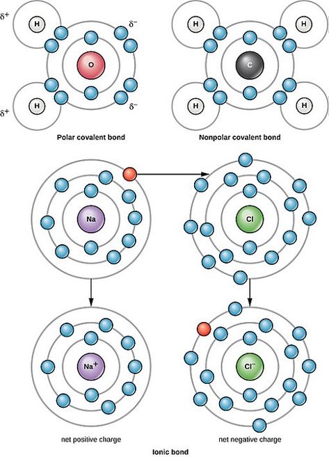 Difference Between Non-Polar and Polar Covalent Bonds Polar Covalent Bonds, Covalent Bonds, Organic Chemistry Study, Gcse Chemistry, Chemistry Periodic Table, Chemistry Basics, Study Chemistry, Ap Chemistry, Chemistry Classroom