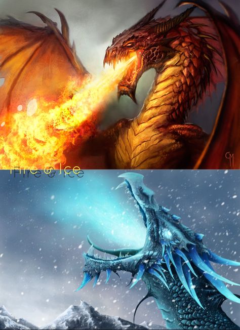 Fire and ice dragons. Fire And Ice Art, Fire And Ice Aesthetic, Ice And Fire, Dragon Fire, Fire And Ice Dragons, Ice Aesthetic, Dragon Tattoo Sketch, Asian Dragon Tattoo, Elemental Dragons