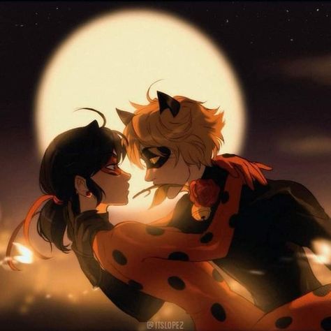 Catnoir And Ladybug, Miraculous Ladybug Kiss, Ladybug Wallpaper, Miraculous Wallpaper, Miraculous Ladybug Wallpaper, Ladybug Anime, Miraculous Ladybug Fanfiction, Marinette And Adrien, Miraculous Characters