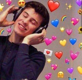 Listen To Music Meme, Shawn Mendes Concert, Heart Meme, Shawn Mendes Memes, Reaction Meme, February 1, Cute Memes, Love Memes, Wholesome Memes