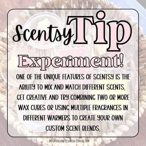 Tuesday Scentsy 2023, Scentsy Tips And Tricks 2023, Scentsy Clearance 2023, Scentsy This Or That 2023, Scentsy Tips And Tricks, Scentsy Tip Tuesday, Scentsy Hacks, Scentsy Samples, Scentsy Order