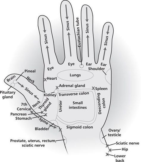 Easy hand reflexology you can do at your desk | The Therapy Book Hand Reflexology, Reflexology Chart, Reflexology Massage, Yl Essential Oils, Hand Massage, Acupressure Points, Young Living Oils, Essential Oil Uses, Pressure Points