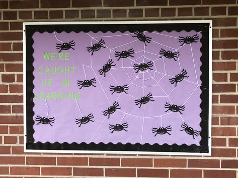 Spiders Spider Bulletin Boards, Spider Bulletin Board Ideas, Spider Bulletin Board, Classroom Bulletin Boards Elementary, October Bulletin Boards, Spider Theme, Spider Net, Halloween Bulletin Boards, Class Door