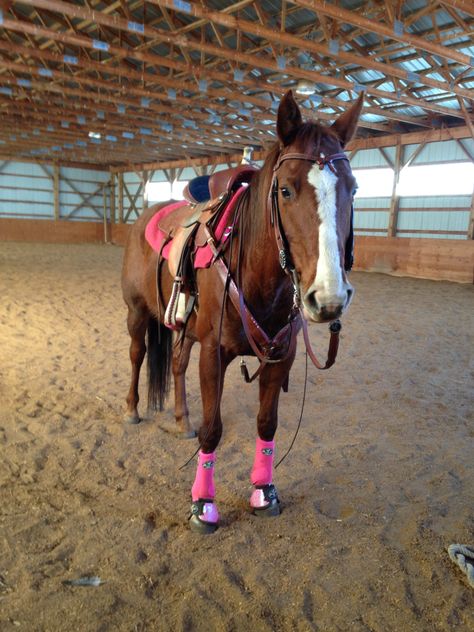 Pink Barrel Racing Tack Set. Professional choice Pink SMB and ballistic no turns. Sierra Longhorn bridle and Sierra Deep Seat Barrel Saddle Western Horse Tack Sets Barrel Racing, Barrel Tack Sets, Hot Pink Horse Tack, Pink Horse Tack Western, Barrel Horse Tack, Western Tack Sets Barrel Racing, Pretty Horse Tack, Pink Tack Set, Pink Horse Tack