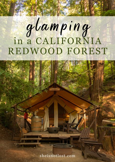 Glamping in Ventana Big Sur, California is an unforgettable experience. This article describes the amenities provided specifically for the redwood glamping experience and details how to book your stay. Red Wood Forest Travel, Red Woods California, Redwoods Camping, Ventana Big Sur, Forest Trip, Glamping California, Redwood Forest California, Los Padres National Forest, Wood Forest