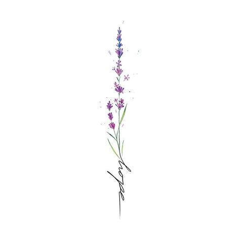 Lavender Tattoo With Name, Hummingbird Lavender Tattoo, Name Flower Tattoo, Lilac Tattoo, Lavender Tattoo, Inspiration Tattoos, Dainty Tattoos, Spine Tattoos, Mom Tattoos