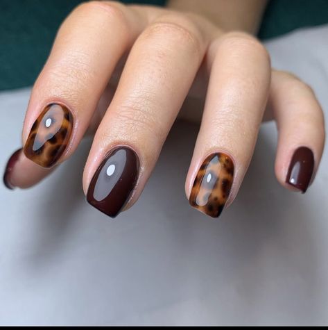 Russian Manicure Design Fall, Tortoise Shell Nail Designs, November Nail Color Ideas, Short Tortoise Shell Nails, Tortoise Shell Nails Tutorial, Tortoise Nail Art, Fall Nail Inspo Short, Tortishell Nails Design, Fall Nails Square