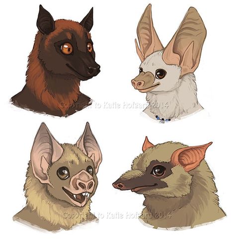 Bat Face Art, Bat Animal Drawing, Bat Person Character Design, Bat Fursona Art, Bat Drawing Reference, Bat Face Drawing, Bat Humanoid, Cute Bat Art, Bat Fursona