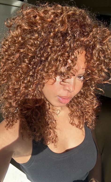 Long Dyed Curly Hair, Ginger Brown Highlights Curly Hair, Cinnamon Brown Curly Hair, Copper Brown With Highlights, Curly Hair Honey Brown, Cherry Brown Curly Hair, Honey Curly Hair, Caramel Brown Curly Hair, Copper Brown Curly Hair