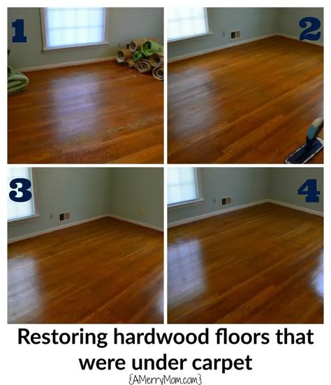 Restoring hardwood floors under carpet - without refinishing the wood - A Merry Mom Restore Wood Floors Without Sanding, Polished Wood Floors, Hardwood Under Carpet, Restoring Wood Floors, Restore Hardwood Floors, Restoring Hardwood Floors, Original Wood Floors, Original Hardwood Floors, Modern Wood Floors