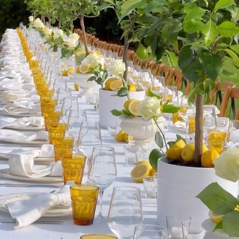 Villa Catignano on Instagram: "Sensational Pasta Party Among the Lemon Trees at @villa_catignano 🌿❤️🍋 11th June 2024  Nestled in the heart of our Italian Garden in Tuscany,  our beautiful couple Asiya and Aafaq welcomed their guests with a delightful Dinner. A perfect start to their unforgettable Big Days ahead! 🇮🇹🍋🍝  📹Photos & Video: @villa_catignano @marmoross  @villa_catignano @chechic_weddings @class_ricevimenti   @bianchi_fiori @audiovisualsiena   @asiyafkhan ❣️🫶 @wakipaki19   #weddingvenues #brides #villacatignano #luxurywedding  #italiainunoscatto #weddingday #weddingphotos #weddingplanning #weddingflorals #weddingcandles #weddingitaly #italyweddings #italywedding #weddingcenterpiece #weddingflowers #weddingtable #weddinggoals #weddingtuscany #weddingdetails #wedding..." Sicilian Wedding Theme, Tuscany Villa Wedding, Sicilian Wedding, Pasta Party, Lemon Trees, Villa Wedding, Italian Garden, Tuscany Wedding, Welcome To The Party