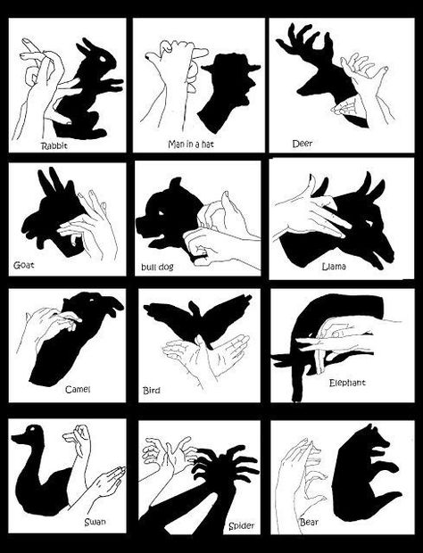 Shadow Puppets With Hands, Hand Tricks, Hand Shadows, Sign Language Words, Sign Language Alphabet, Language Works, Seni Dan Kraf, Shadow Art, Shadow Puppets