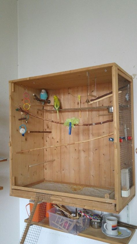 Diy Parakeet Cage, Indoor Aviary, Big Bird Cage, Diy Bird Cage, Bird Cage Design, Diy Bird Toys, Parakeet Cage, Pet Bird Cage, Bird House Kits