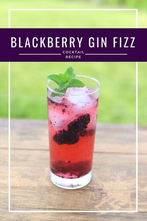 Gin And Sparkling Water, Blackberry Gin Cocktail, Gin Sangria, Blackberry Gin Fizz, Cucumber Gin Cocktail, Mom Drinks, Gin Fizz Recipe, Gin Based Cocktails, Blackberry Cocktail