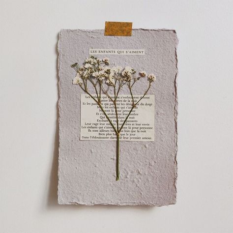 Herbarium Book Ideas, Pressed Flower Crafts, Personalised Gifts Diy, Flower Collage, Diy Bookmarks, Pressed Flower Art, Diy Journal, Scrapbook Journal, Cards For Friends