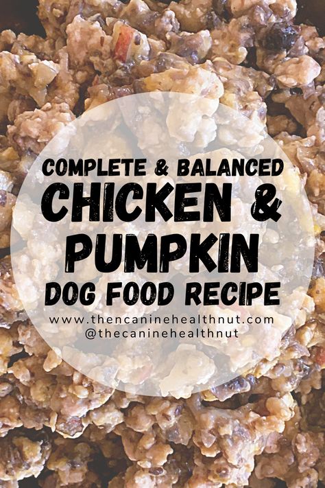 Dog Oatmeal Food, Chicken Rice Pumpkin For Dogs, Chicken Rice And Pumpkin Dog Food, Homemade Dog Food Recipes Chicken Brown Rice, Homemade Dog Food For Digestive Problems, Homemade Dog Food For Urinary Tract Health, Homemade Dog Food Recipes With Pumpkin, Affordable Homemade Dog Food, Dog Food Breakfast Recipes