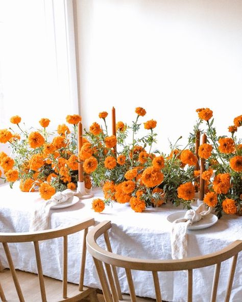 Portfolio — Iris & Fig Orange Candles, Marigold Wedding, Katie White, White Linens, Wedding Tablescape, Whidbey Island, Orange Wedding, Wedding Mood Board, Wedding Tablescapes