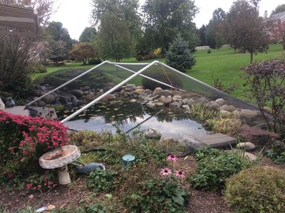 Pond Shade Cover Ideas, Pond Cover Ideas, Hiding Pond Liner, Pond Covers Metal, Lebanon Pennsylvania, Tent Structure, Preformed Pond Liner, Pond Covers, Pond Netting