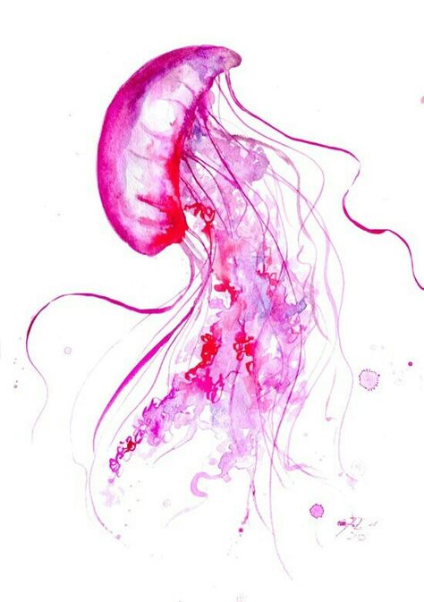 Pink Medusa Watercolor Jellyfish, Jellyfish Tattoo, Theme Tattoo, Fish Tattoo, Jelly Fish, Temporary Tattoo, Jellyfish, Painting Inspiration, Tattoo Design