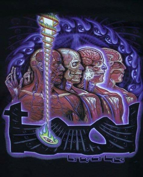 Tool Band Quotes, Tool Lateralus, Tool Band Art, Tool Band Artwork, Tool Artwork, Alex Gray Art, Tool Poster, Grey Artwork, Tool Music