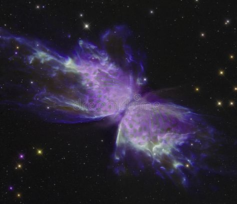 Nasa Illustration, Butterfly Nebula, Vector Picture, Butterfly Image, Astronomy Nebula, Nebula Wallpaper, About Butterfly, Infinite Universe, Galaxy Images