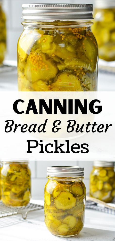 Easy Bread And Butter Pickles, Canning Bread, Bread And Butter Pickles Recipe, Canning Pickles Recipe, Old Fashioned Bread, Bread N Butter Pickle Recipe, Water Bath Canning Recipes, Bread And Butter Pickles, Easy Canning