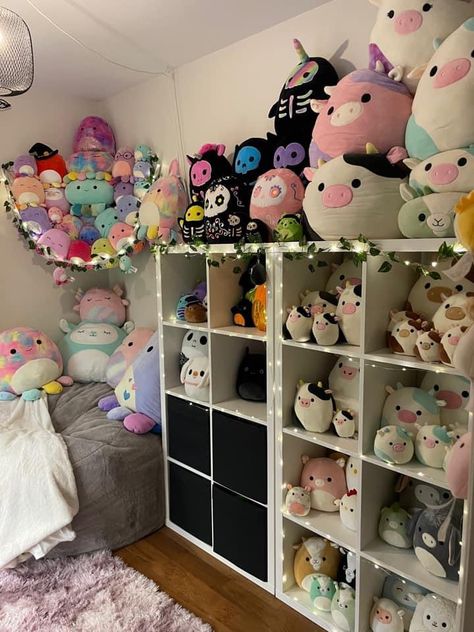 Organizing Squishmallows, Stuffy Display Ideas, Teddy Organization, Mini Squishmallows Storage, Stuffies Organization, Stuffed Animal Collection Display, Squishmellow Display, Plushie Storage Ideas Adult, Squishmellow Organization