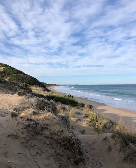 Torquay Victoria, Pinterest Wall, Sea Flowers, Usa Beaches, Sky Moon, Instagram Ideas Photography, Aesthetic Coffee, Ideas Photography, June 2024