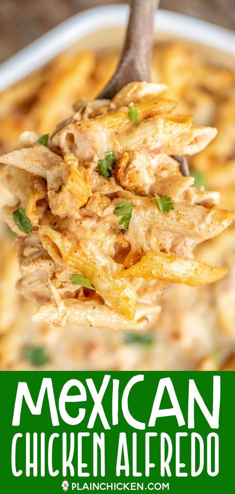 Mexican Chicken Alfredo Casserole - for when you can't decide between Mexican and Italian for dinner! This is super easy to make and tastes AMAZING! Chicken, pasta, Alfredo sauce, taco seasoning, salsa, onion, ricotta cheese, and parmesan cheese. Can make in advance and refrigerate or freeze for later. #casserole #chicken #pastacasserole #chickenalfredo #mexicanfood Mexican Chicken Alfredo, Pasta Alfredo Sauce, Alfredo Casserole, Chicken Alfredo Casserole, Casserole Chicken, Pasta Alfredo, Amazing Chicken, Chicken Alfredo Pasta, Plain Chicken