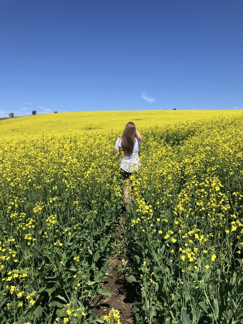 #photography #summer #mustardyellow #yellow #flowers #photoshootideas #photoshoot Yellow Field Photoshoot, Yellow Flower Photoshoot, Yellow Flower Field Photoshoot, Yellow Wildflower Photoshoot, Field Of Yellow Flowers Painting, Field Of Yellow Flowers Aesthetic, Mustard Flowers, Flower Field, Yellow Flowers