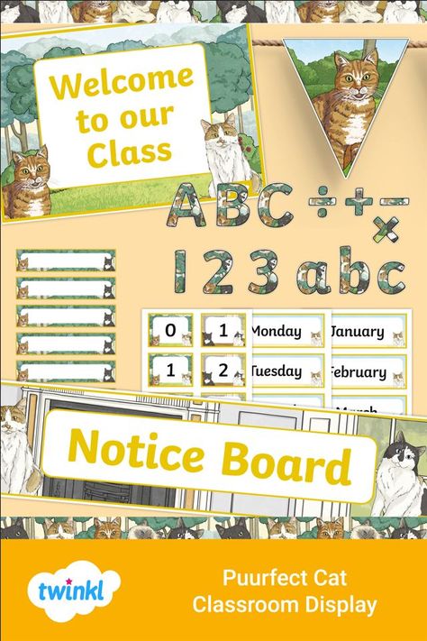 Beautiful Classroom, 2024 Classroom, Different Cats, Themed Classroom Decor, Cut Out Letters, Classroom Display, Class Decor, Class Decoration, Classroom Setup